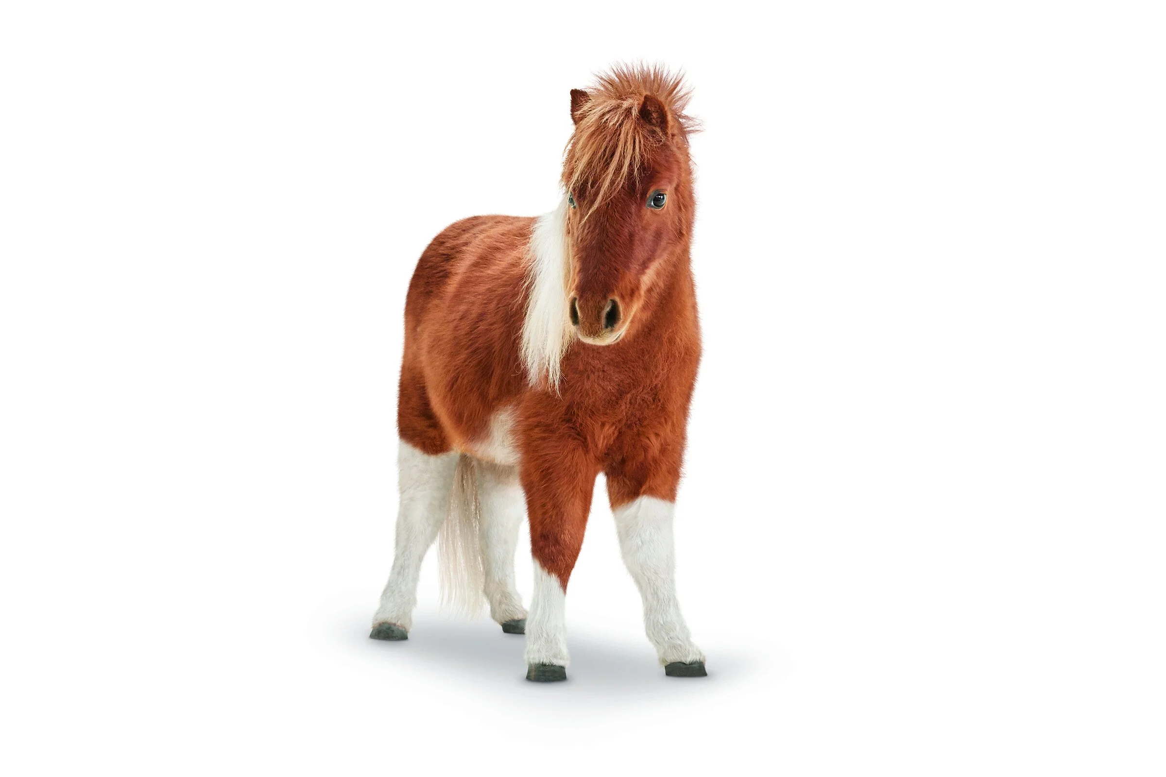 Mini_Horse_34R_BrwnWht_Look_34L_Sh_GCLwest.jpg