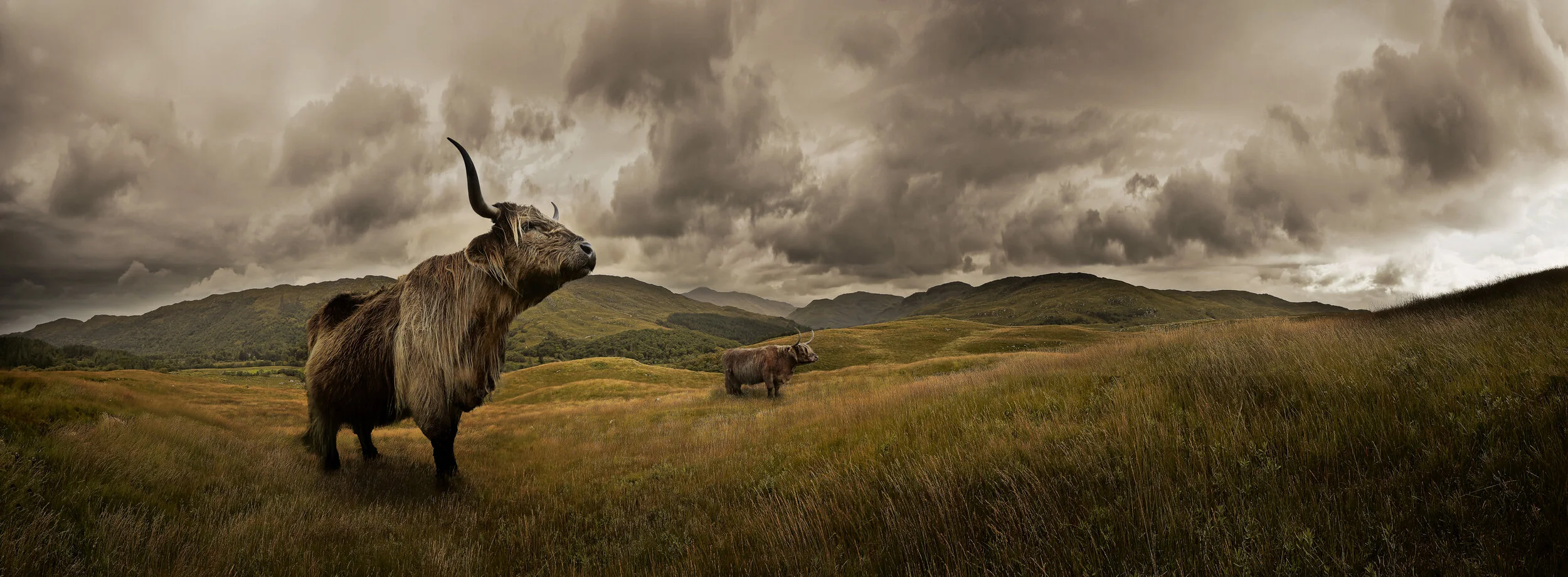 13005-Scotland-02928k-30inchwide.jpg