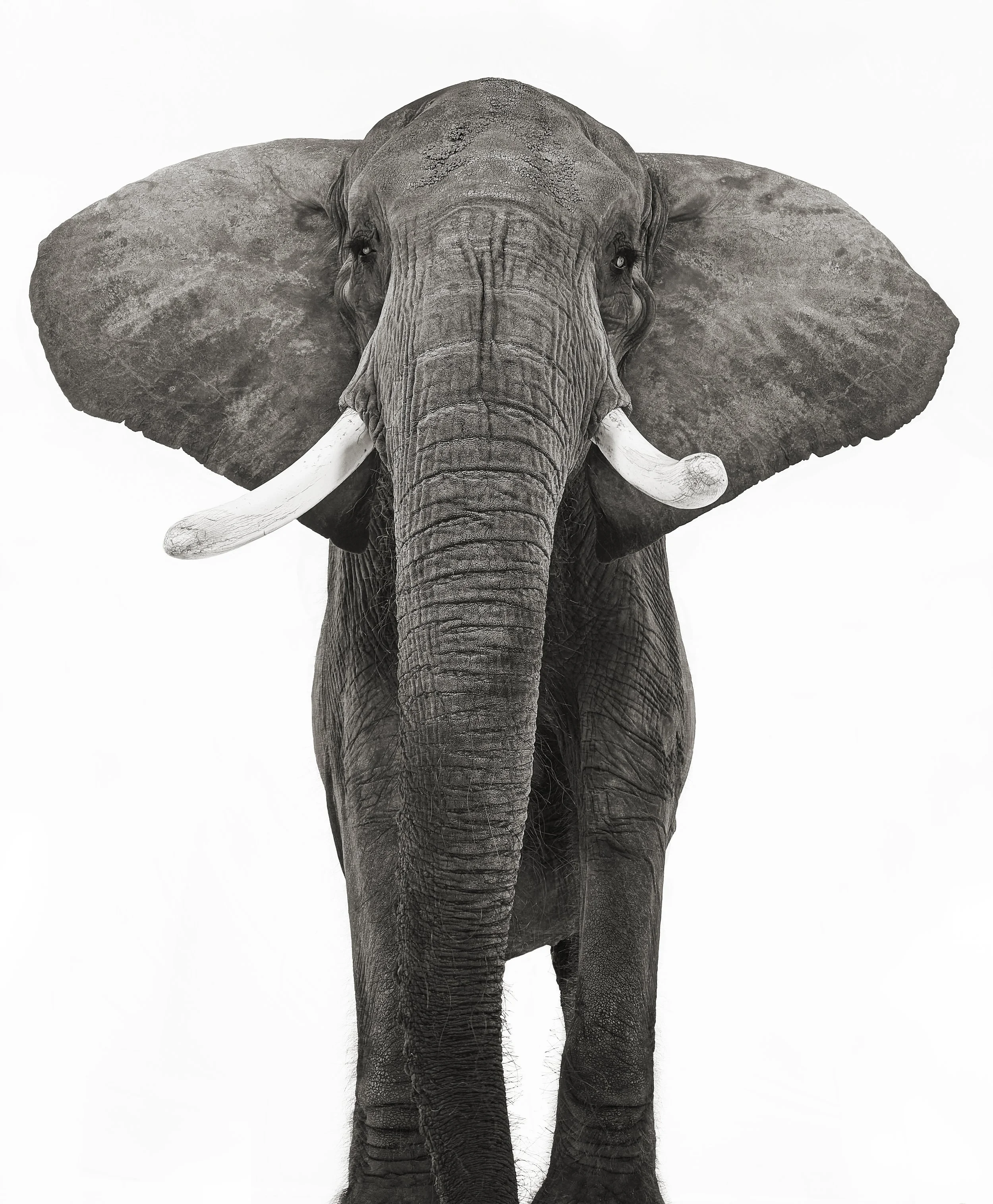 2025_TelusFL_2290-RecoveredPRINTd copy.JPG