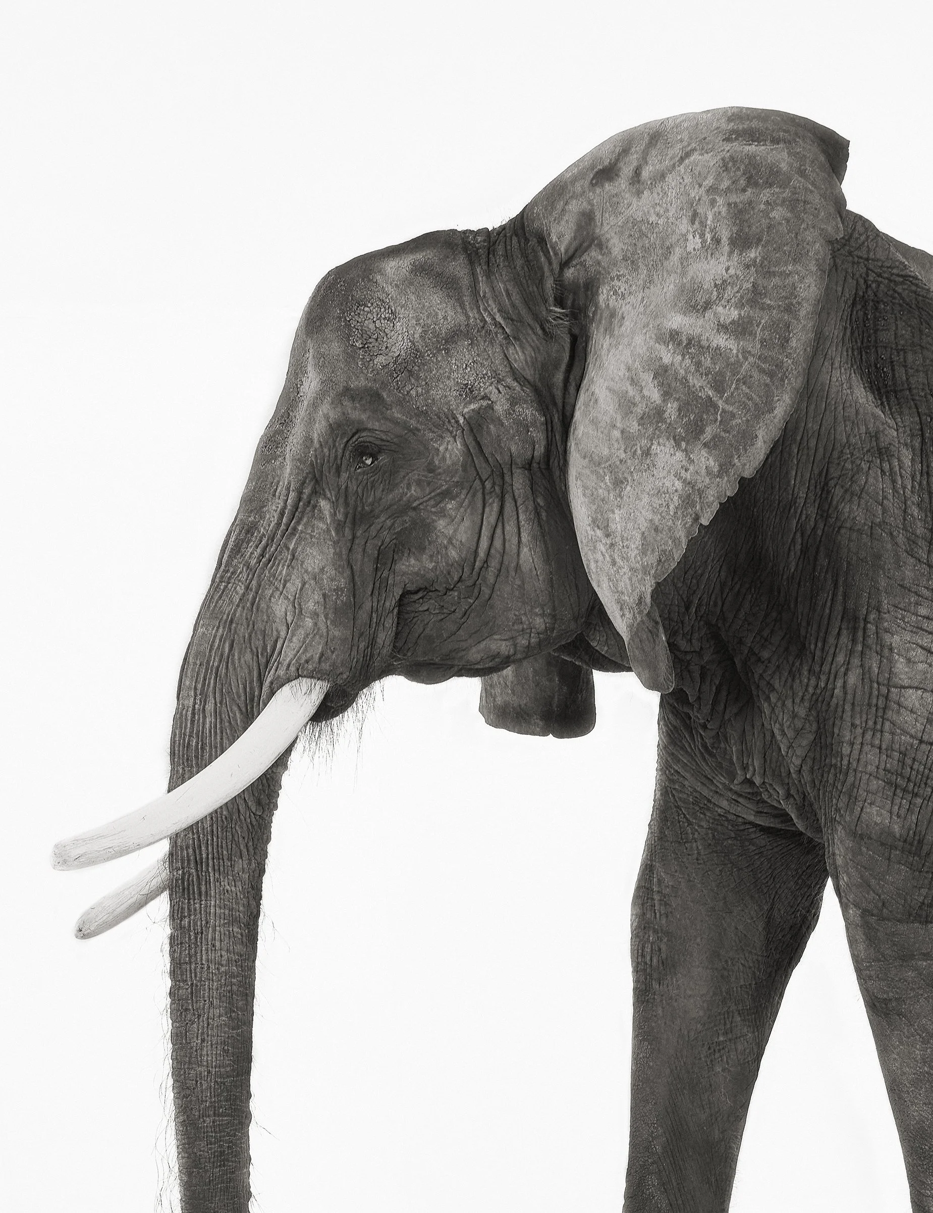 2025_Telus-FL_0467finalB&Wb copy.JPG