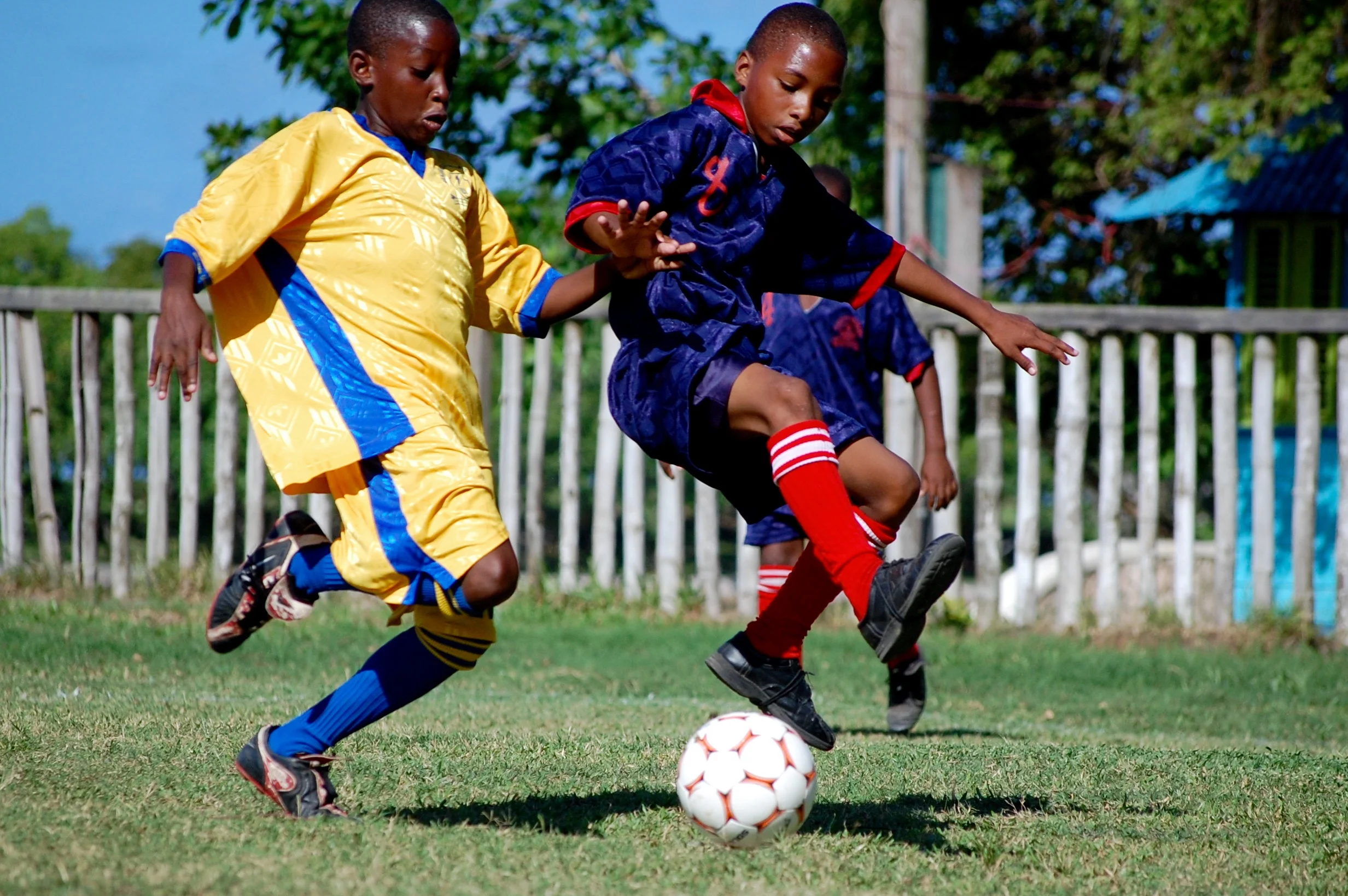 Heart-Foundation-of-Jamaica-WL1H.jpg