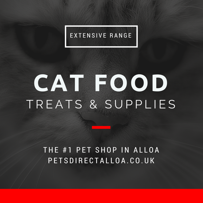 cat-food-treats-supplies-alloa-falkirk-stirling.jpg