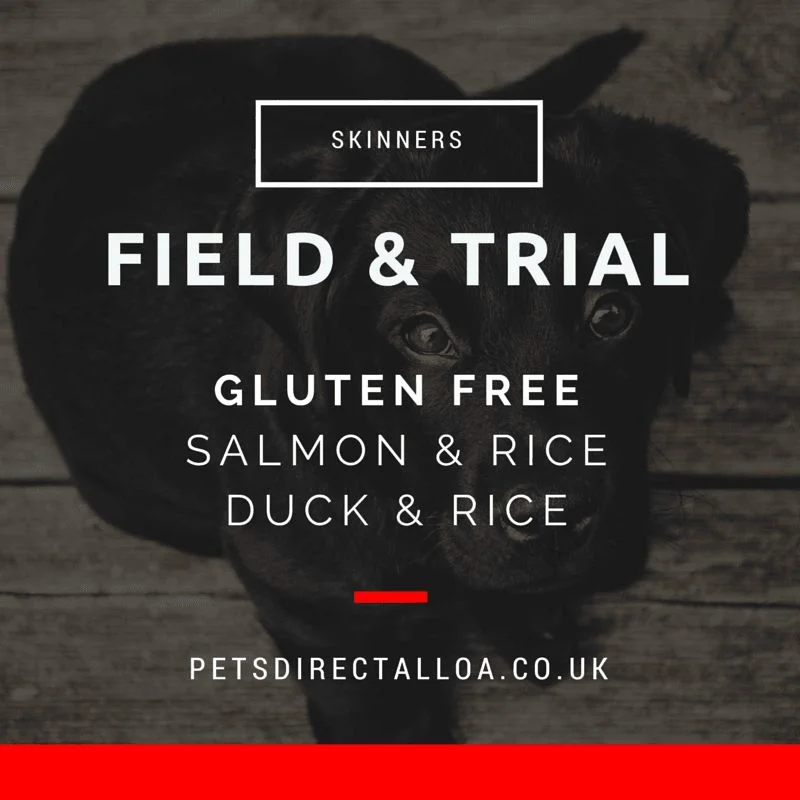 gluten-free-skinners-field-and-trial-pet-shop-alloa-falkirk-stirling.jpg