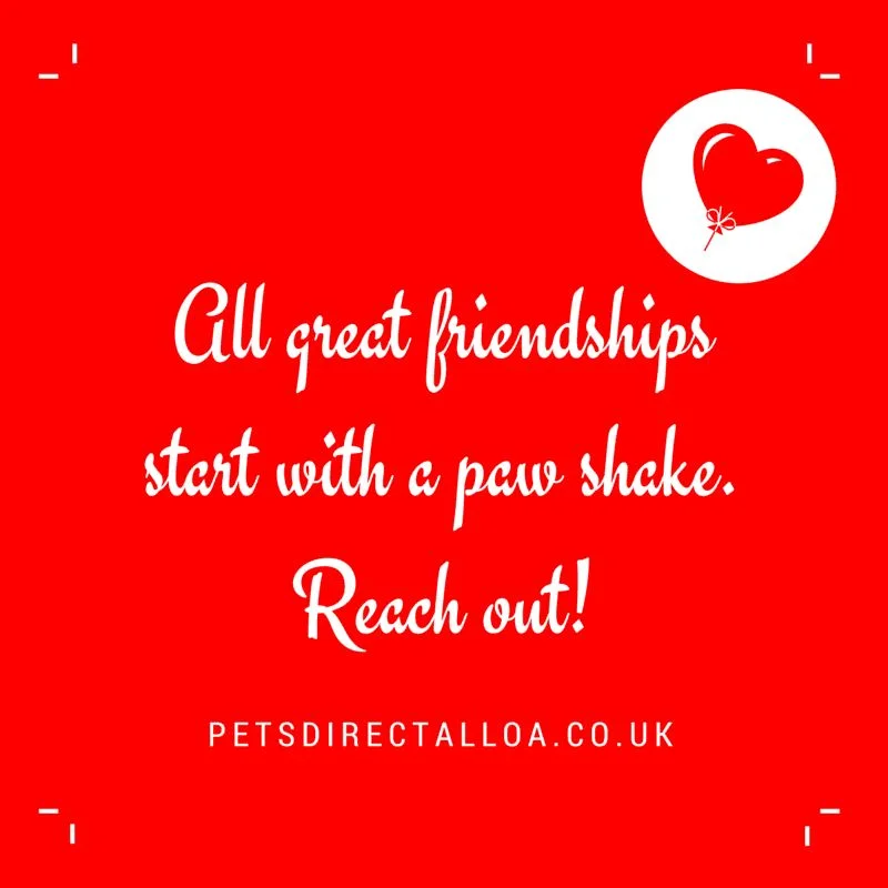 pet-friendship-pet-shop-alloa-falkirk-stirling.jpg