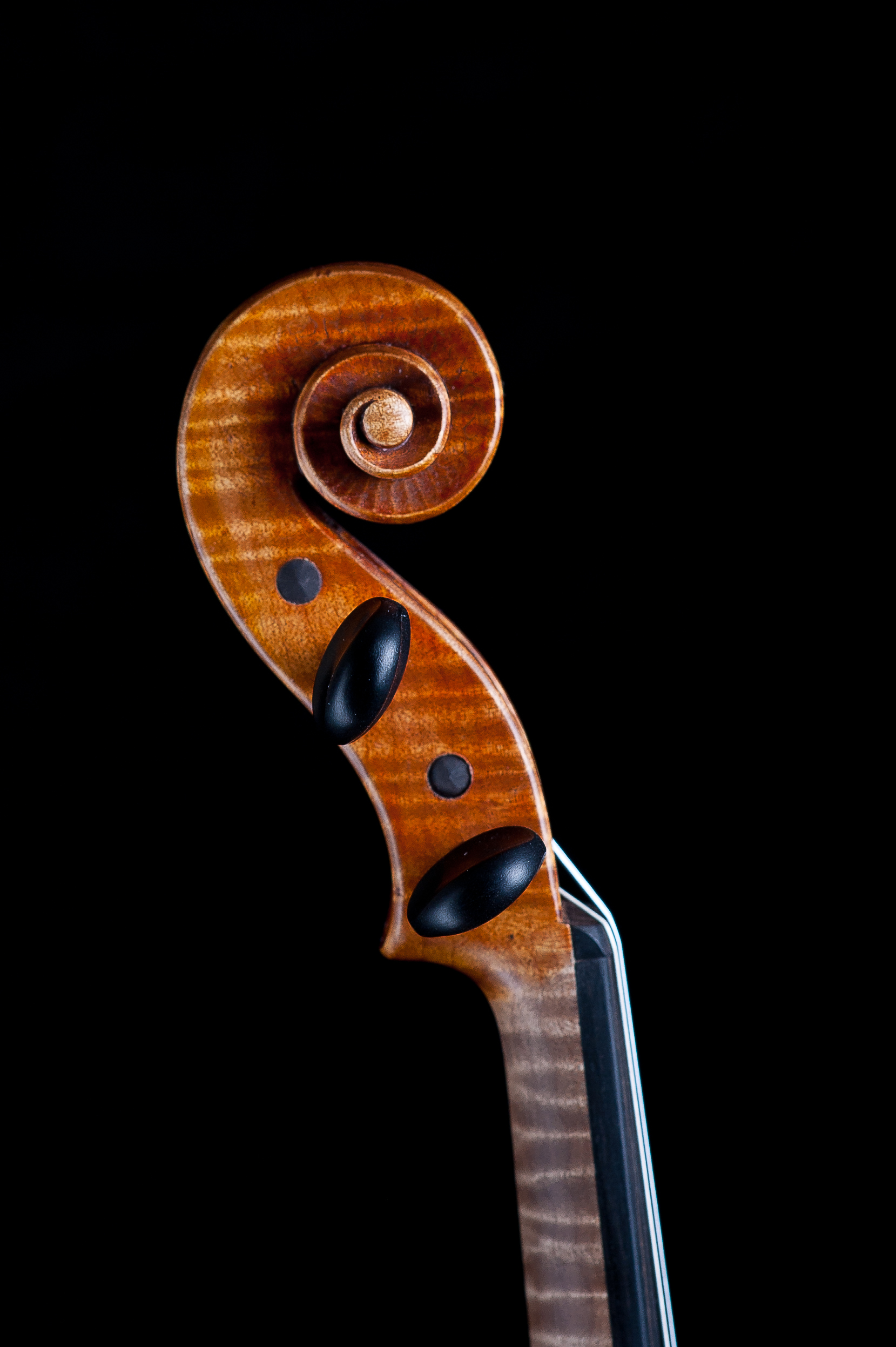 CampanellaStrings_PhotosByAdamFrehm-0364.jpg