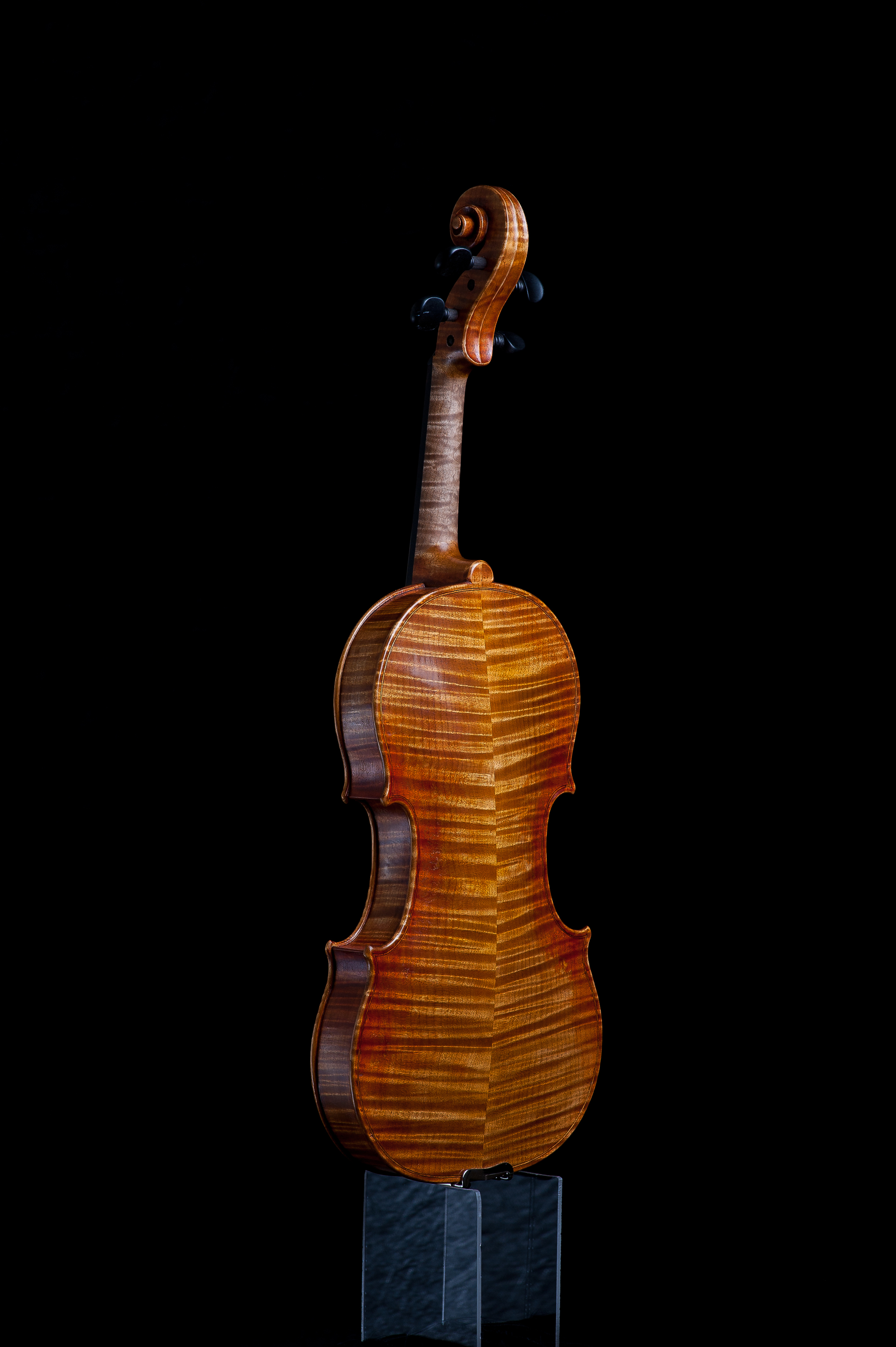 CampanellaStrings_PhotosByAdamFrehm-0392.jpg