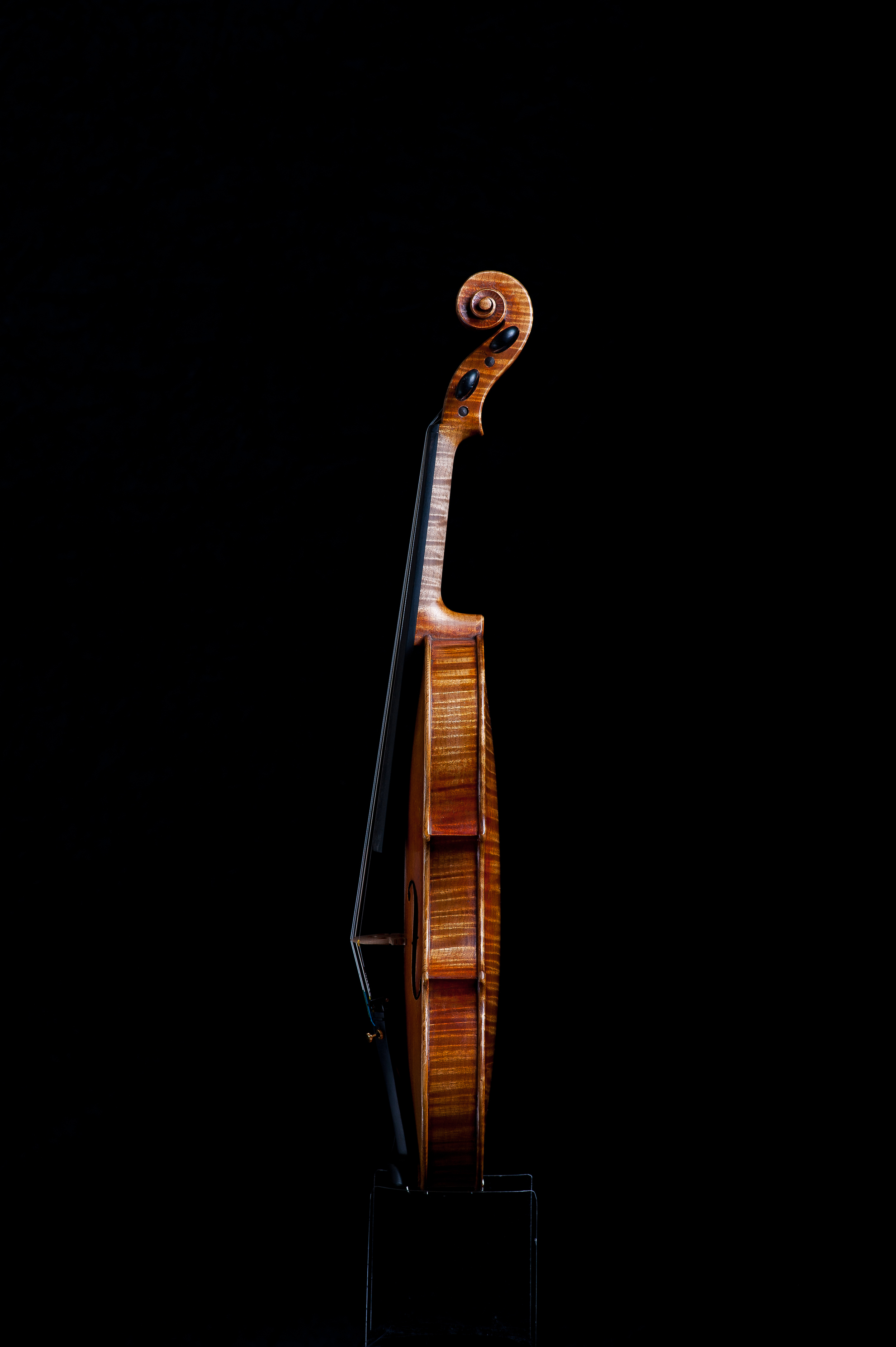 CampanellaStrings_PhotosByAdamFrehm-0394.jpg