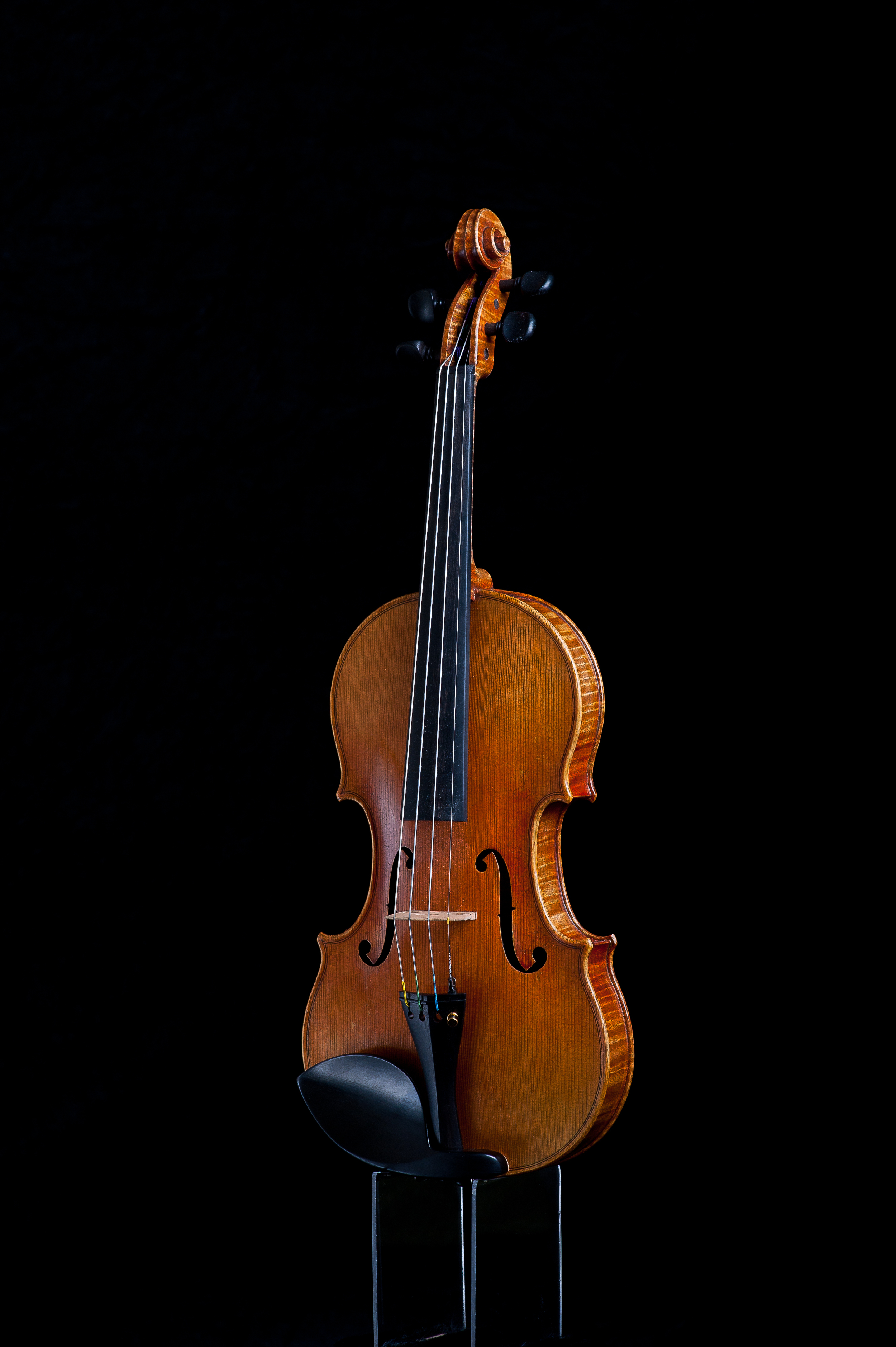 CampanellaStrings_PhotosByAdamFrehm-0396.jpg