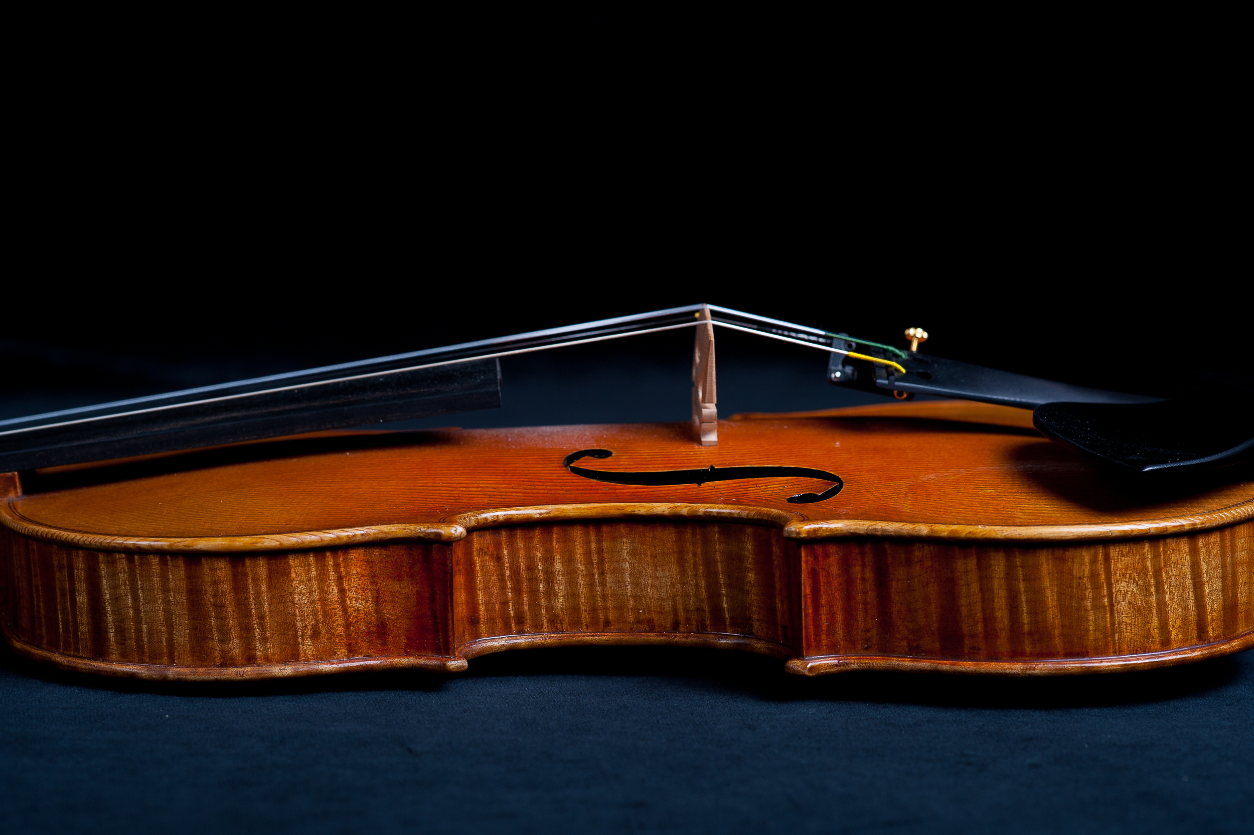 CampanellaStrings_PhotosByAdamFrehm-0487.jpg