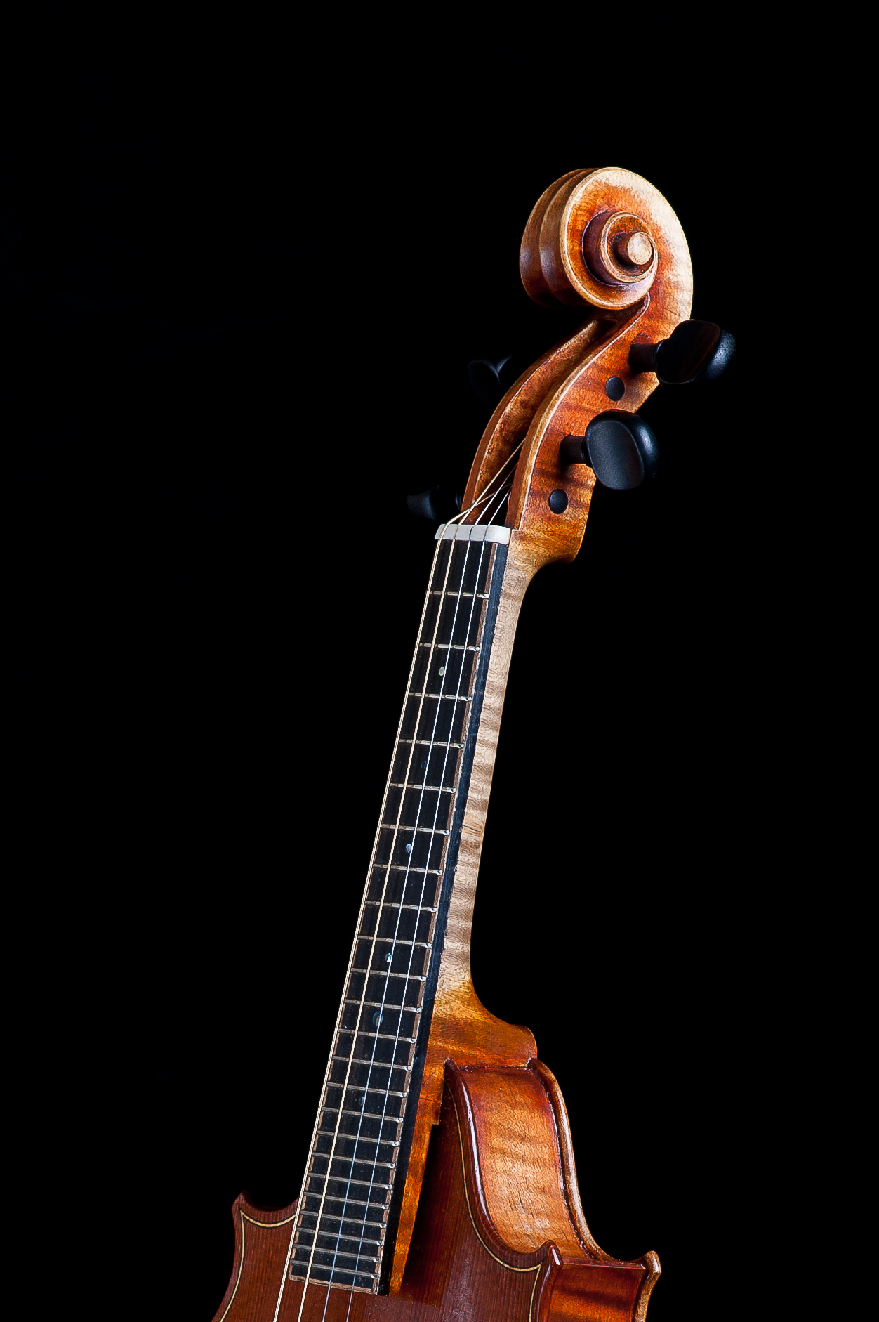 CampanellaStrings_PhotosByAdamFrehm-0423-3.jpg