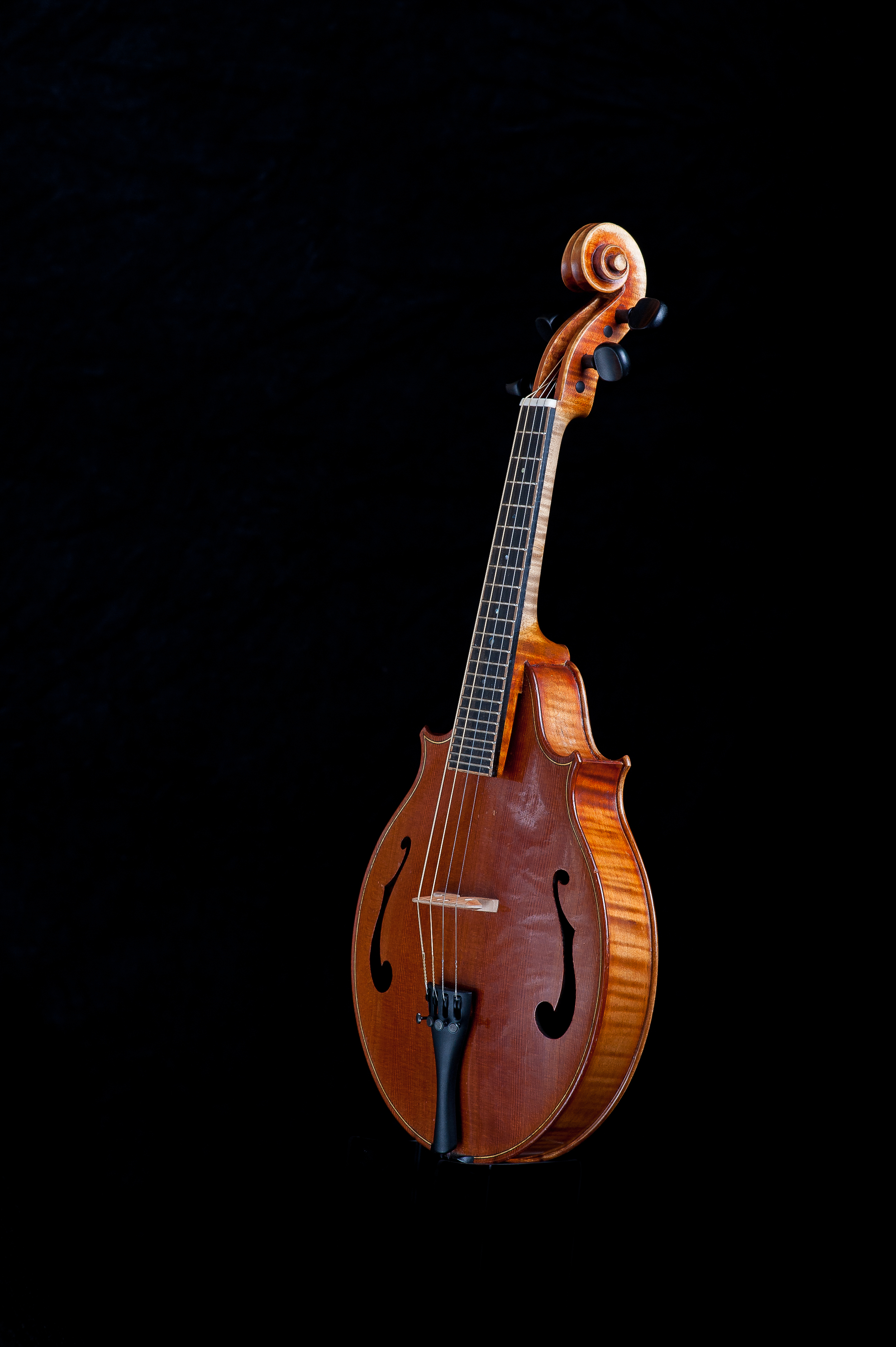 CampanellaStrings_PhotosByAdamFrehm-0423.jpg