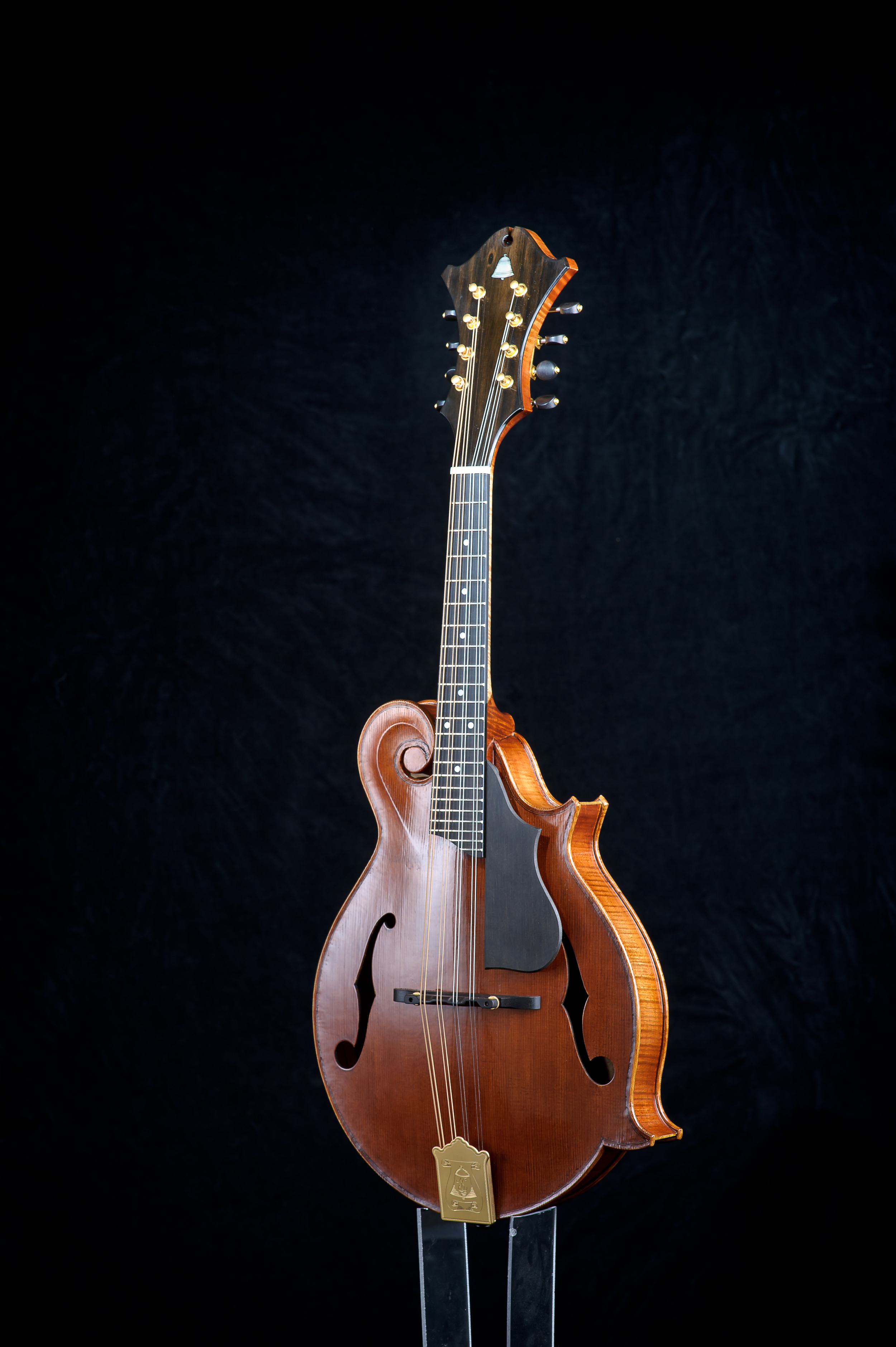 CampanellaStrings_HighRez-2619.jpg