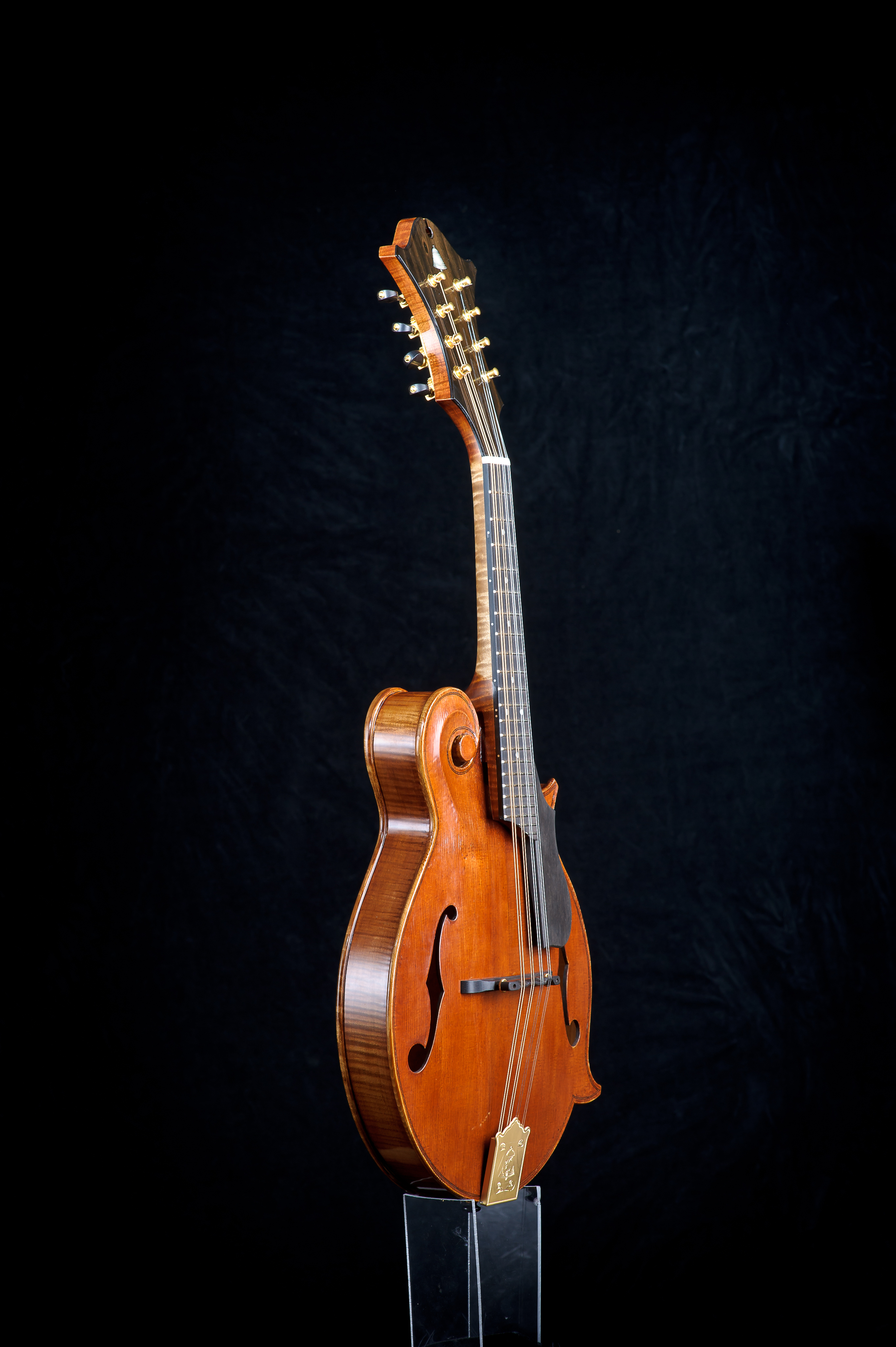 CampanellaStrings_HighRez-2640.jpg