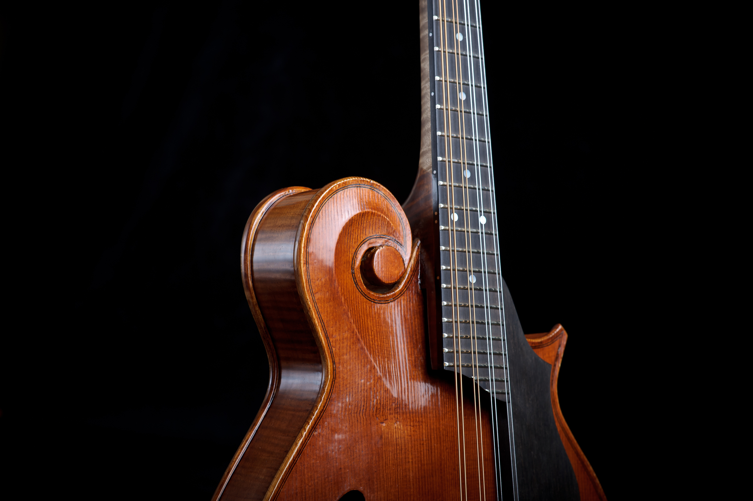 CampanellaStrings_HighRez-2702.jpg