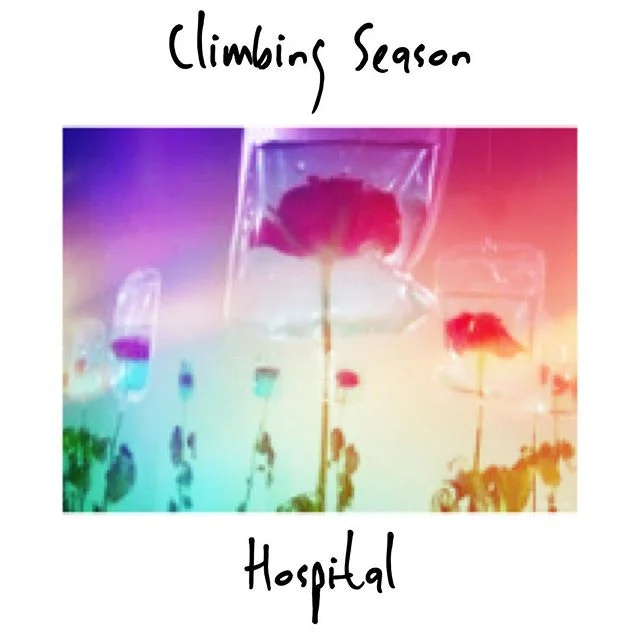 ~ I&rsquo;d bring you roses in your hospital. If your heart weren't hard and my knife so dull. I'd take your picture post it on your wall but you don't like pictures anyway. 💐 ~ #climbingseasonband #thegoodpioneer #alternative #indie #music #itunes 