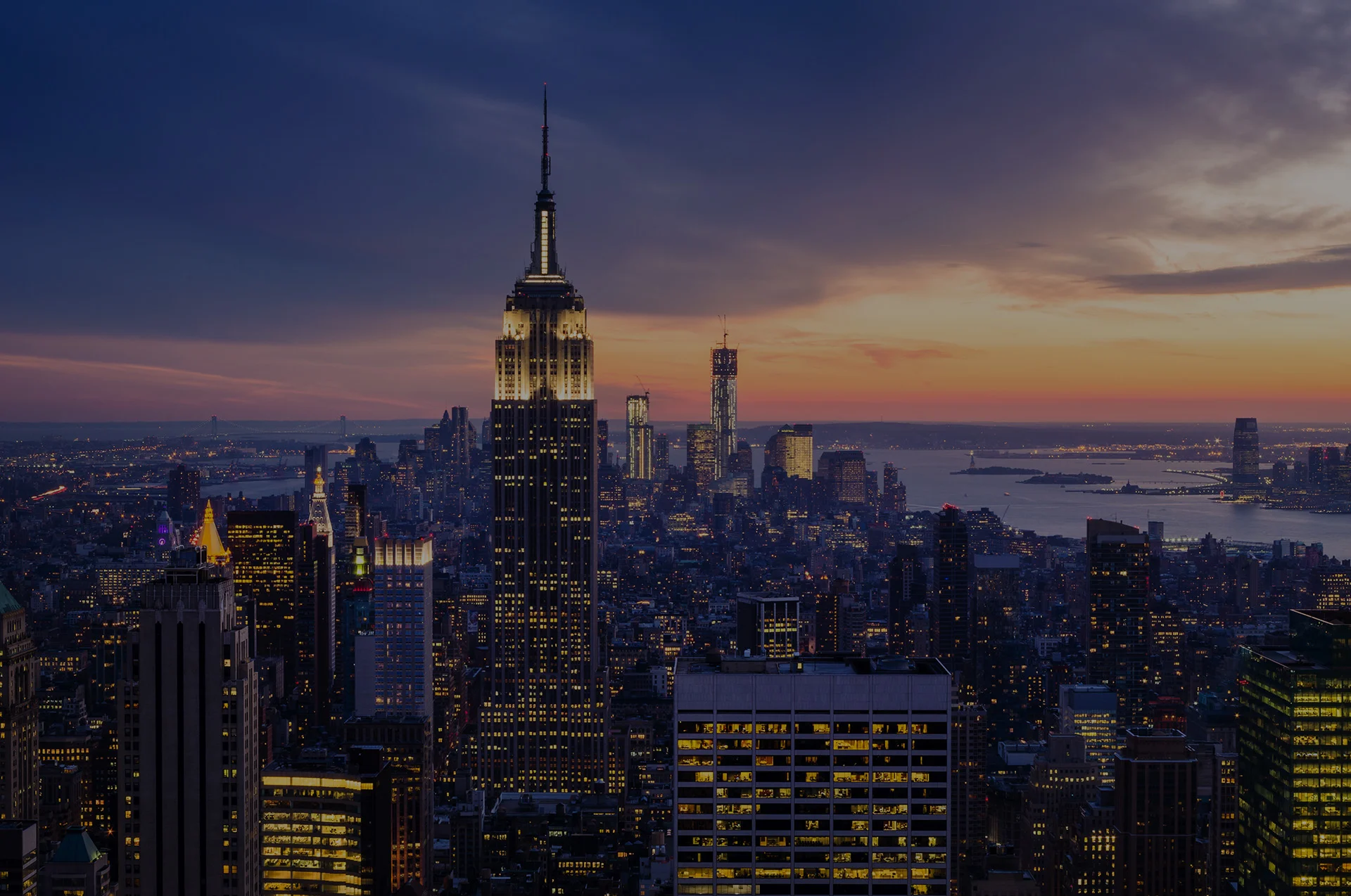 the-media-trader-nyc.jpg