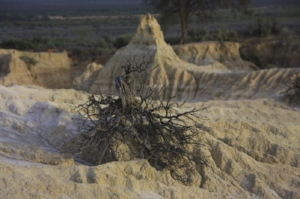 The Bones of Australia's Lake Mungo