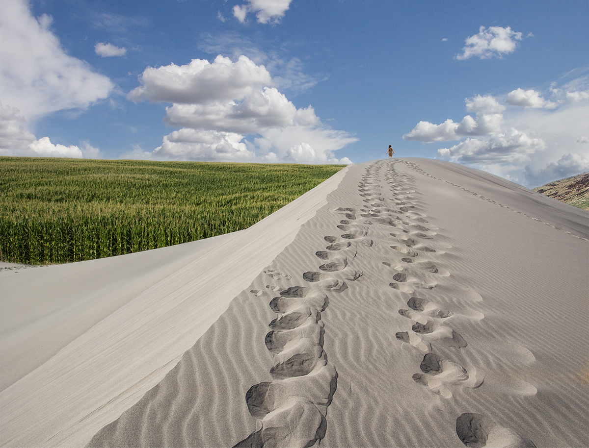 corn and sand to print.jpg