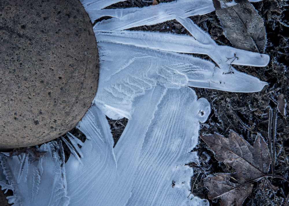 1ice feathers.jpg