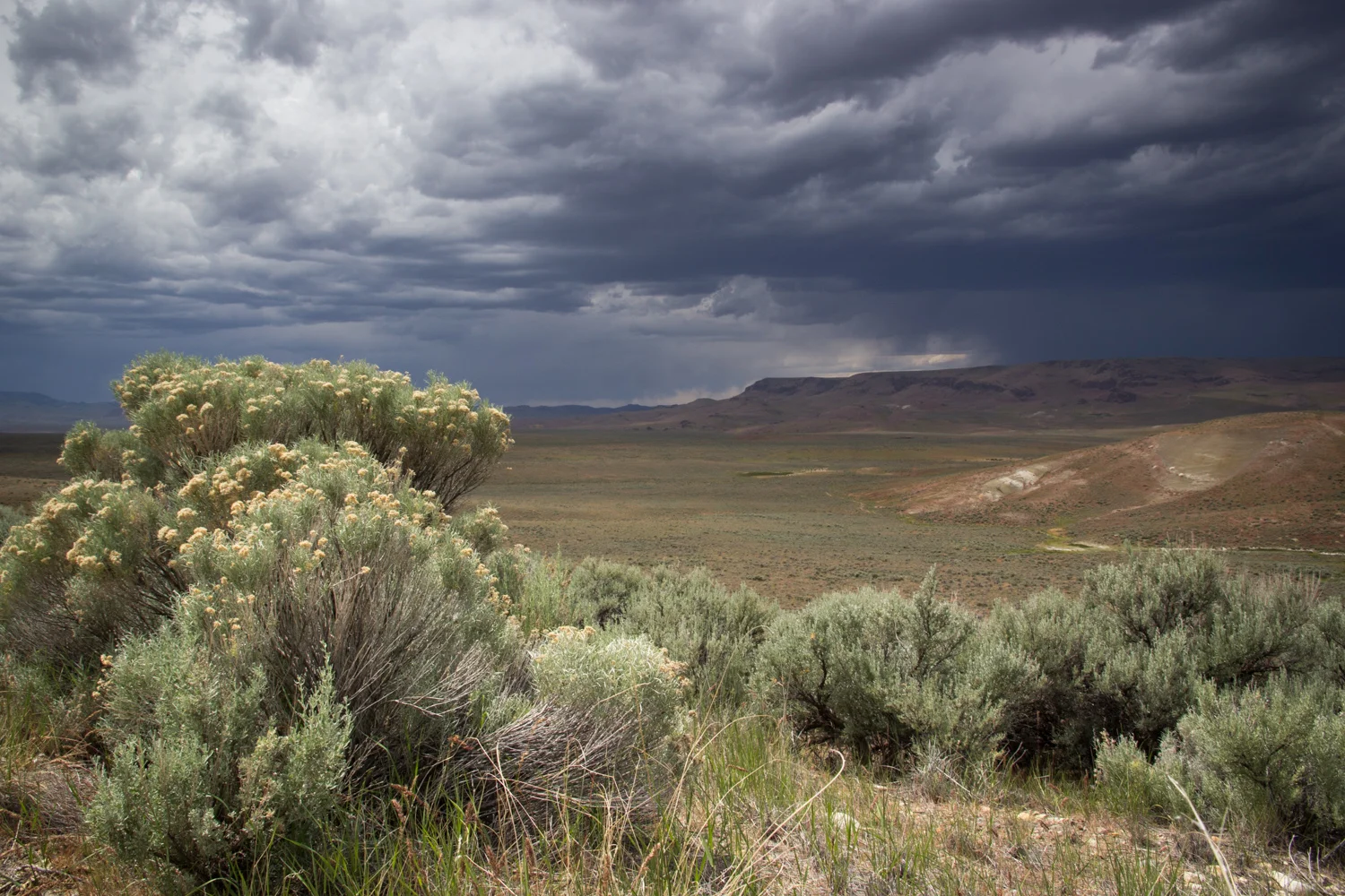 Owyhee thunderstorm.jpg
