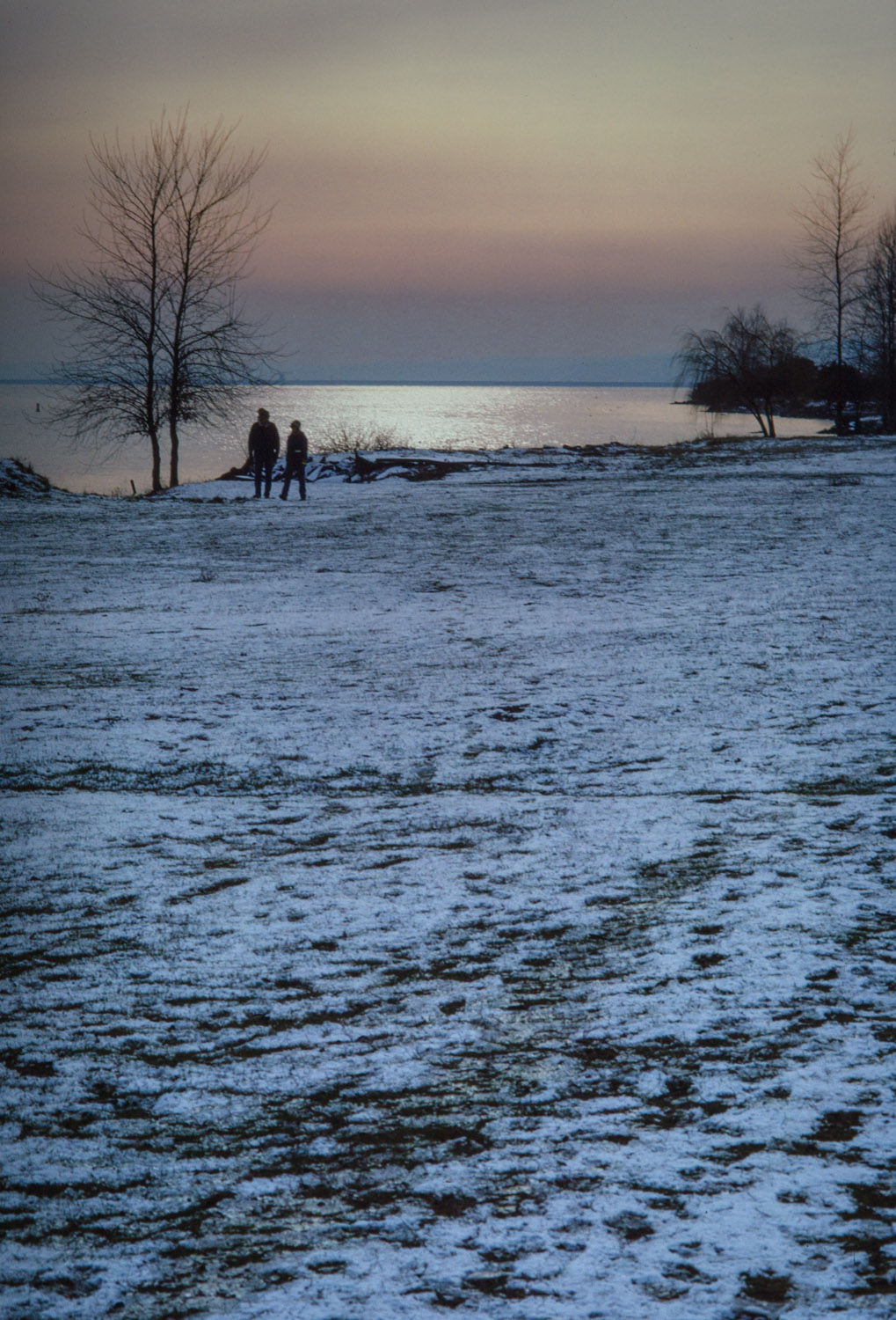 winter walk.jpg