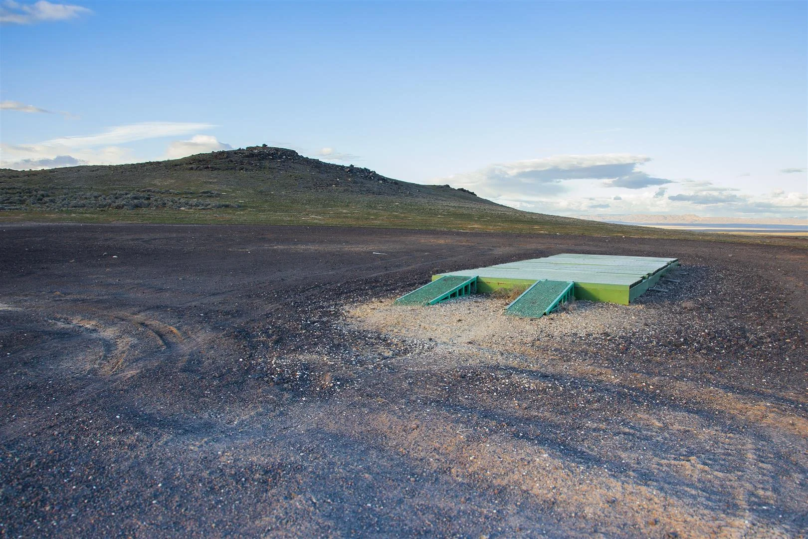 green pad-print (Large).jpg