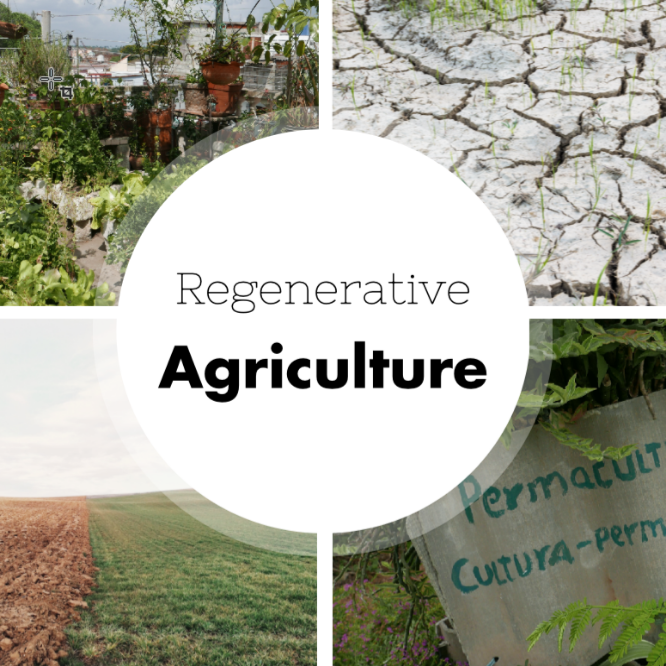 Regenerative Agriculture