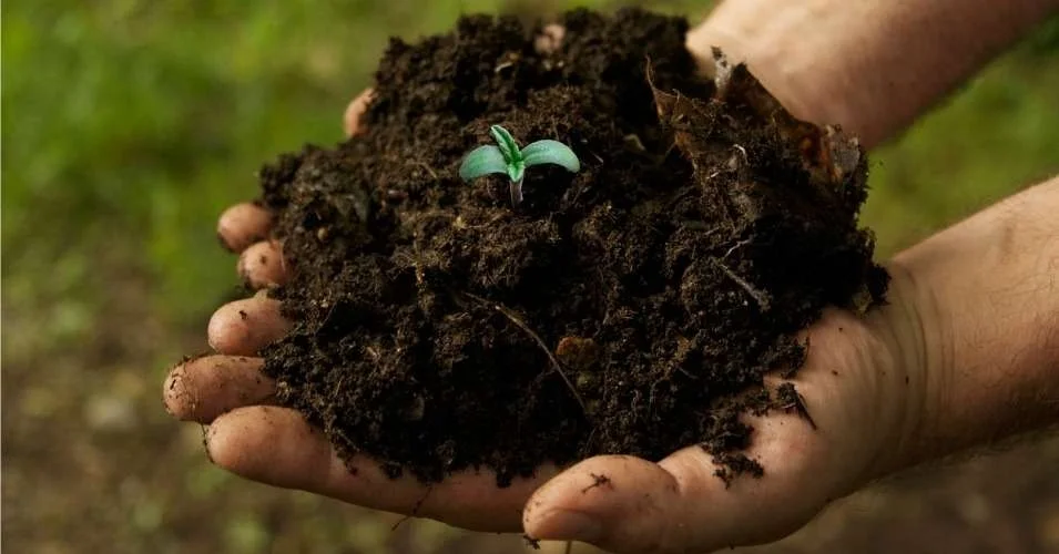 "The federal government has no problem subsidizing, to the tune of $20 billion/year —GMO monoculture crops that degrade the soil and play a significant role in making global warming worse." (Photo: commondreams.org)