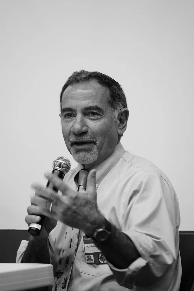 Anthony panel 1.jpg