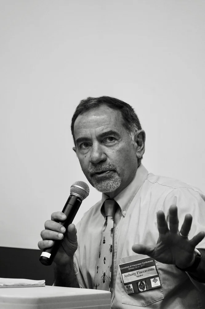 Anthony panel 2.jpg
