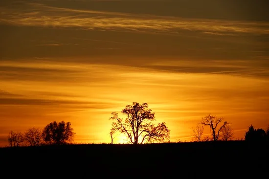 Agraria's natural beauty begs to be shared with everyone.