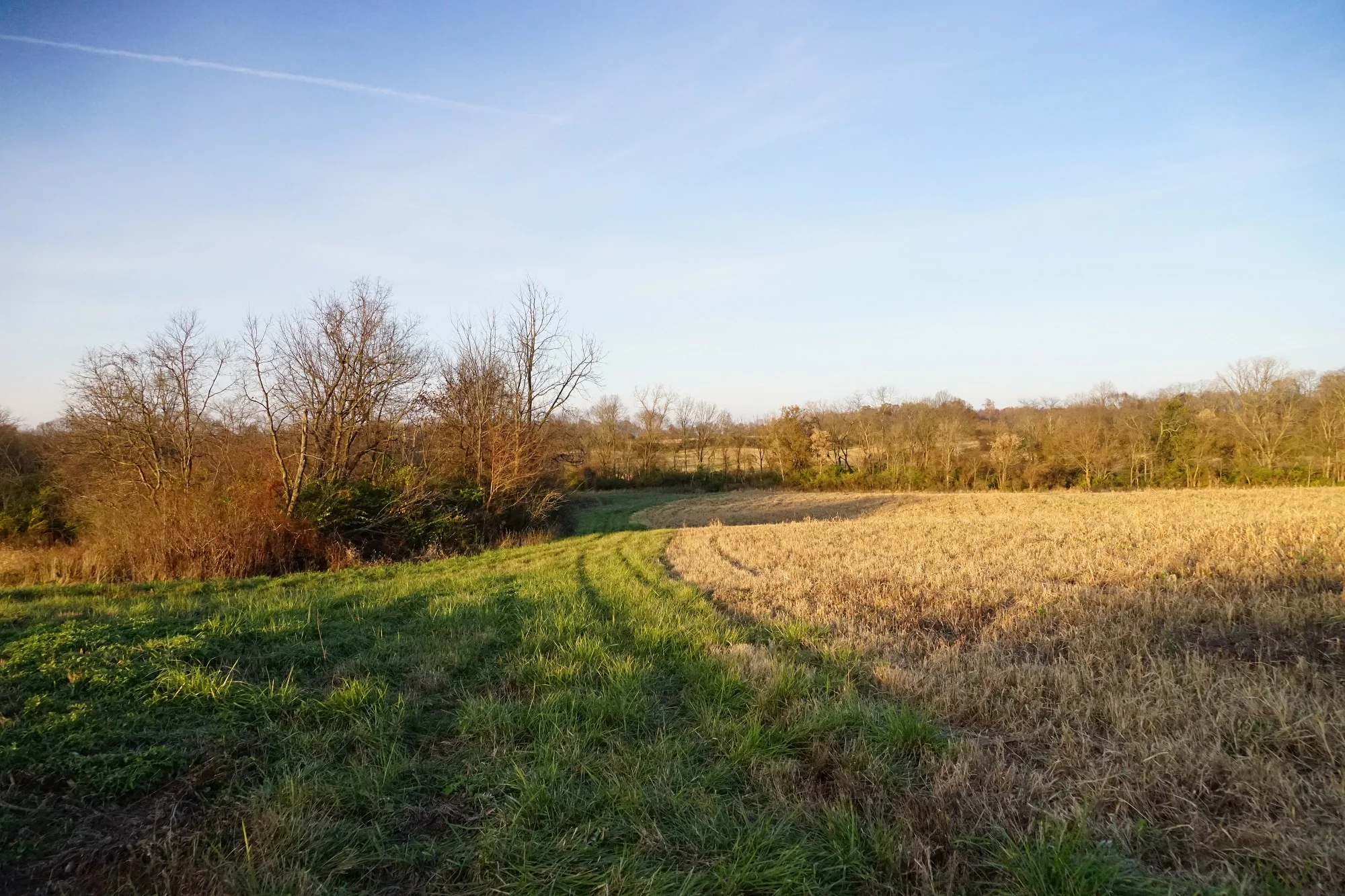 Field 4 late fall-1 smaller.jpg