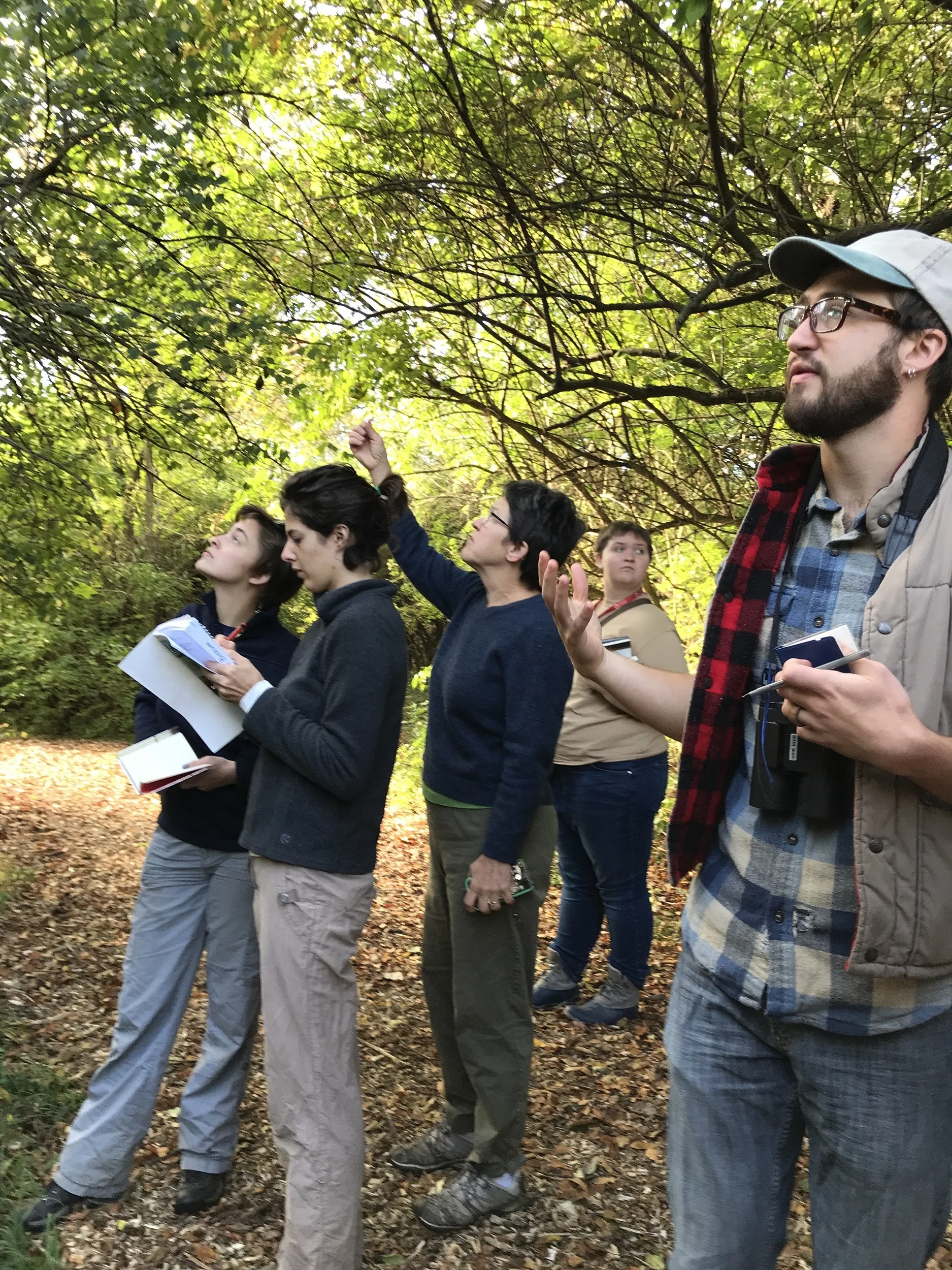 Tree identification walk-4 smaller.jpg