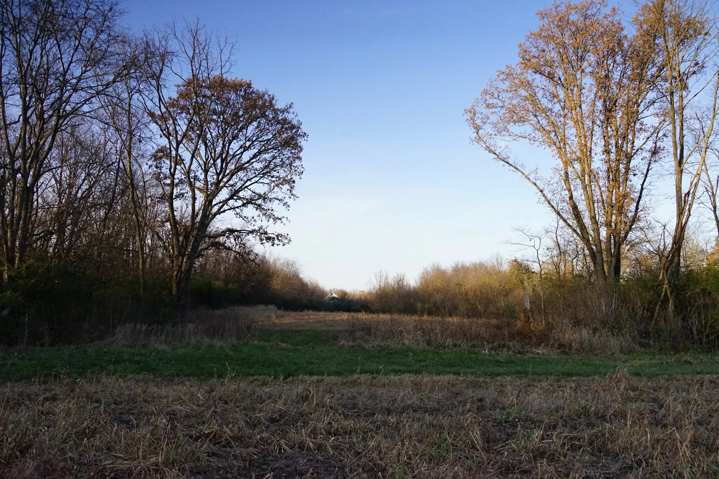 View from field 7-2 smaller.jpg