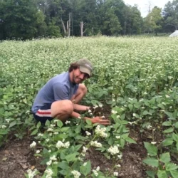 David Chal in field.jpg