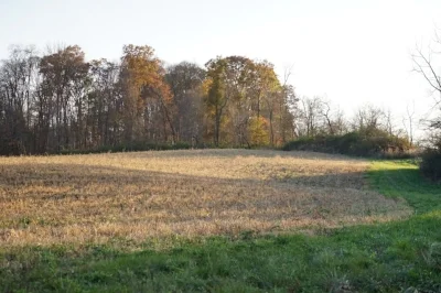 Field 4 late fall-2 smaller.jpg