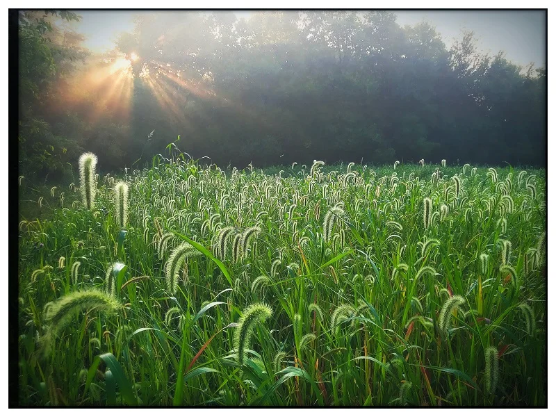Sunrise over Agraria-1 not as small.jpg