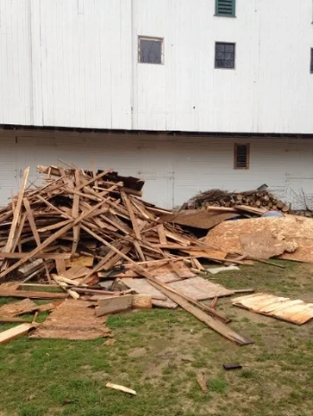 Wood behind barn smaller.jpg