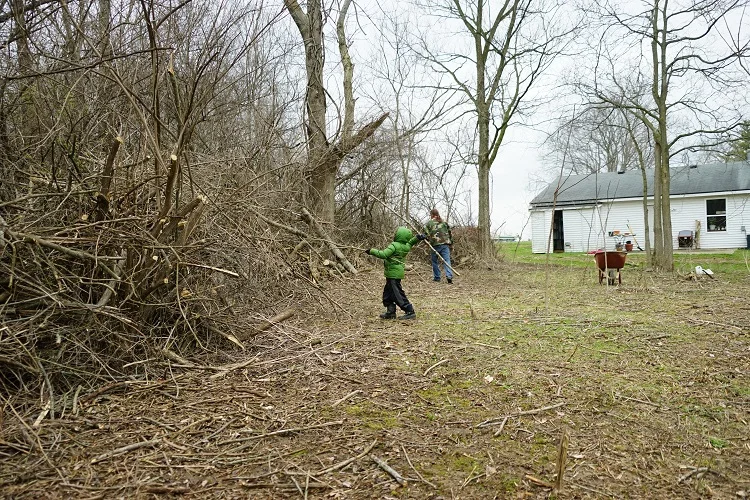 Green, camo and wheelbarrow smaller.jpg