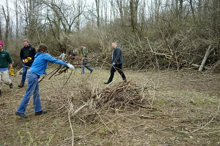 blue throwing some sticks smaller.jpg