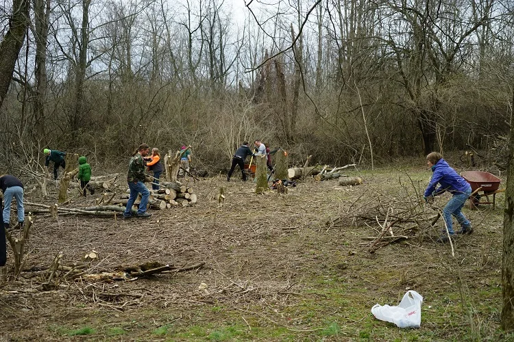Everybody working smaller.jpg