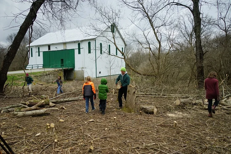 6 toward the barn smaller.jpg