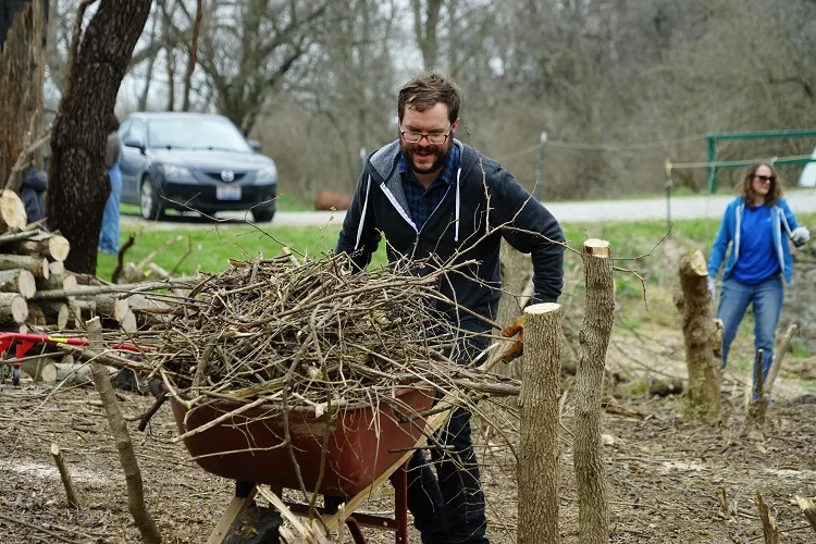 Man with a wheelbarrow full of honeysuckle smaller.jpg