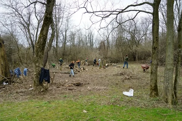 People collecting honeysuckle smaller.jpg