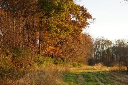 Agraria late fall-view from field 5 smaller.jpg