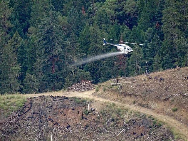 Pesticide spray clearcut.jpg