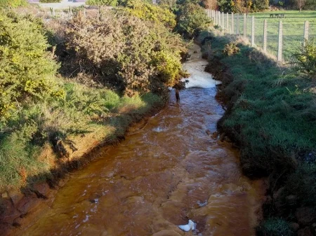 Polluted_stream_flowing_through_the_Lon_Goch_Recreation_Ground_-_geograph.org.uk_-_1169788.jpg