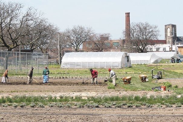 Exciting news from the U.S. Department of Agriculture 🧑&zwj;🌾 

4 Million Dollars 💵 for grants to support the development of urban agriculture and innovative production projects. USDA will accept applications on grants until 11:59 p.m eastern stan