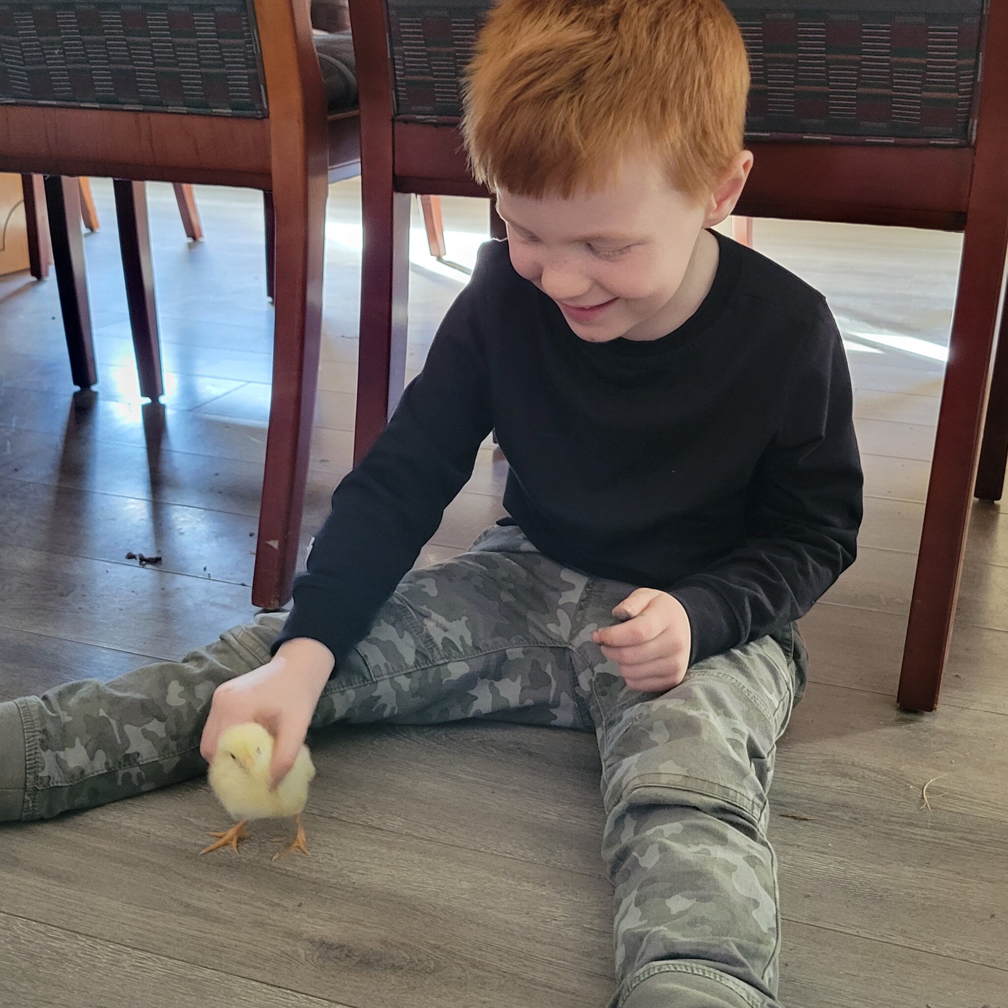 Some special (and cute!) guests joined the Trekkers group last week! The children learned and practiced safe and gentle techniques to handle the 3-day-old chicks. 🐤