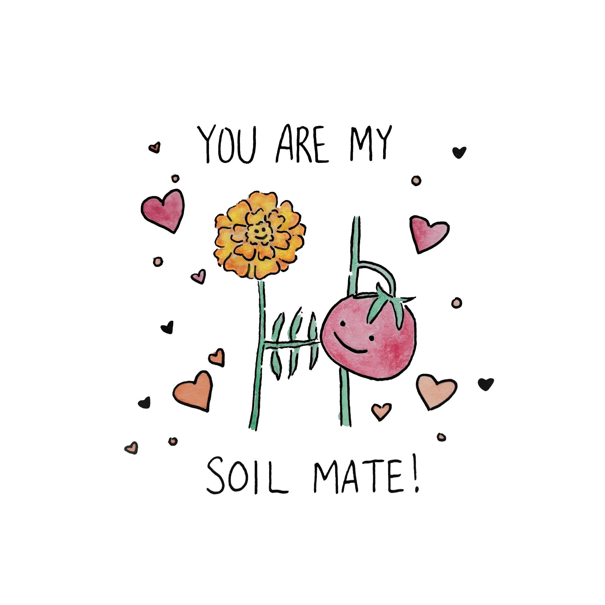 Happy Valentine's Day from Agraria Farm! Companion planting can help you achieve many positive goals within your garden, such as optimizing soil health, saving space, and insect management. Learning about the mutual support systems between various ve